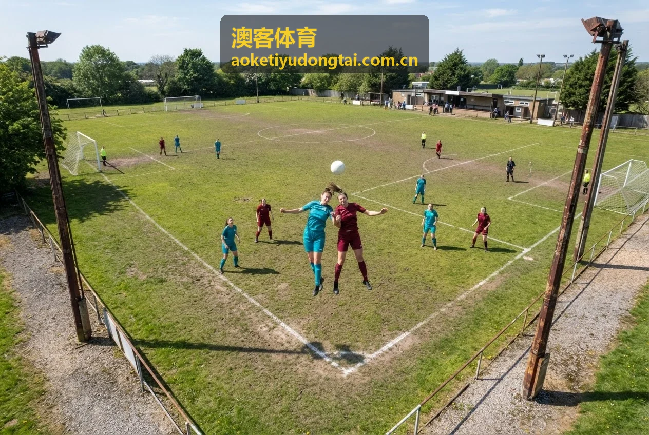 澳客体育智能分析产品